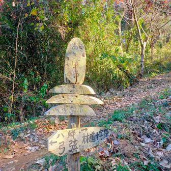 あきば峠を通過。
