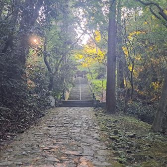 朝は奥の楼門だけに明かりが灯り他は完全闇だった通り。