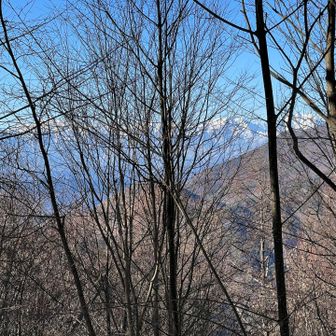 北アルプス方面の眺望は良くありません😅