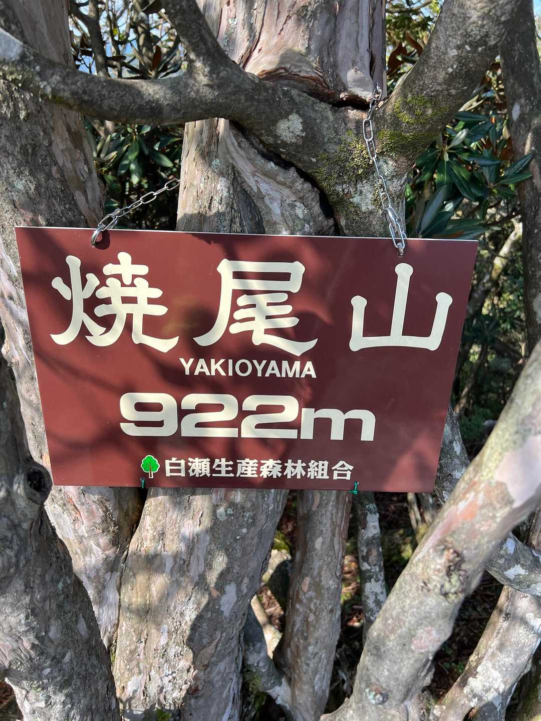 四座目
