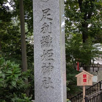 足利織姫神社の上がお山みたいで