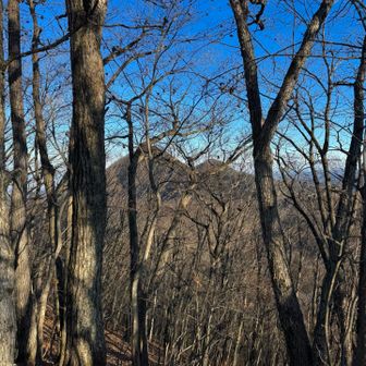 東西ふたつの御荷鉾山を眺めながら下山開始します