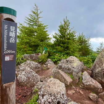 途中、本降りに見舞われ傘さし登り2つ目ピーク登頂
あんなに青空だったのに一気に悪天☂️⚡️
けど山のﾂﾝﾃﾞﾚは表情豊かで嫌いじゃない🤪