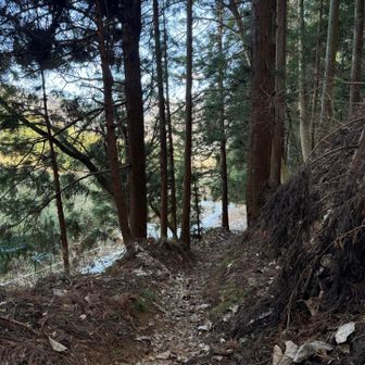 終わりが見えてきた！よかったー