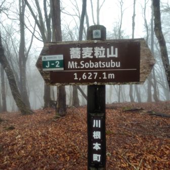 蕎麦粒山登頂🙌こちらは川根本町です。歩いてみるとわかる、水窪と川根本町の違い。何とは言いませんが…🤭
