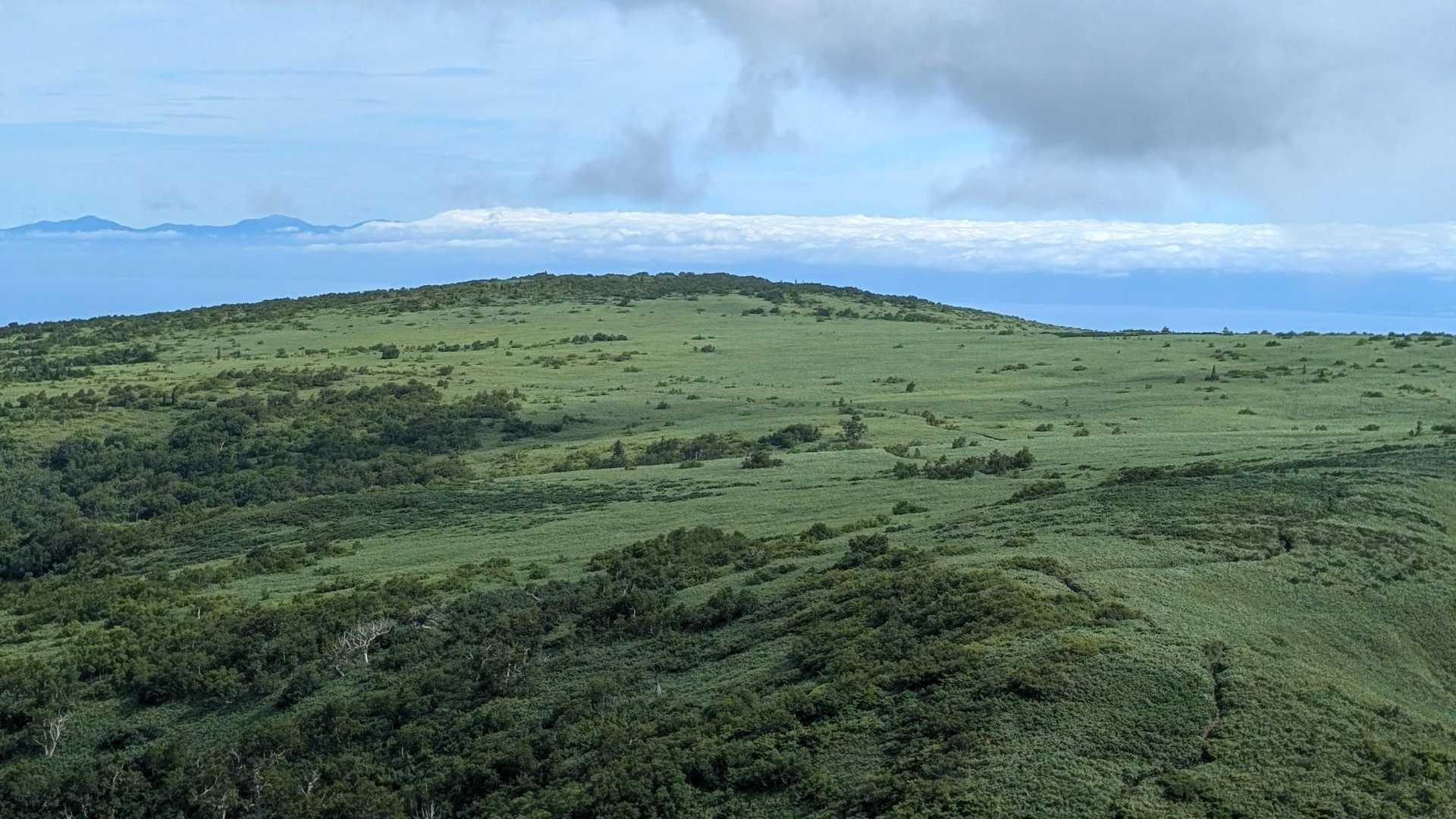 余市岳登山道入口-余市岳 往復コースの写真