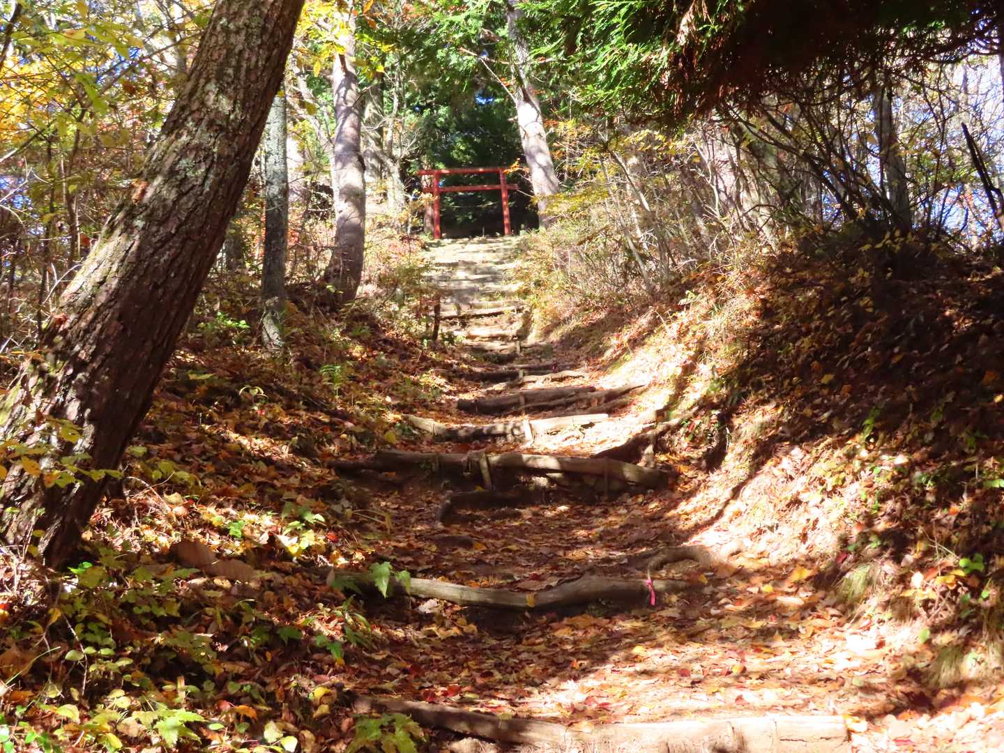 まもなく太郎神社