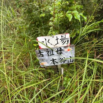 途中にある水場