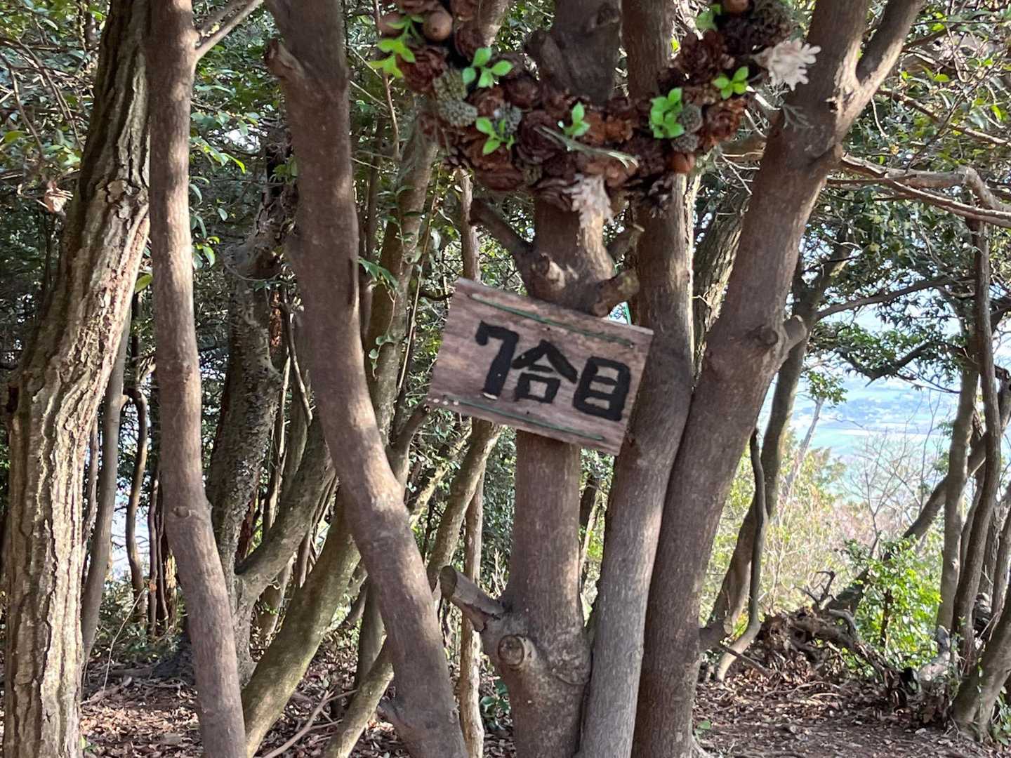 ようやく７合目☝️