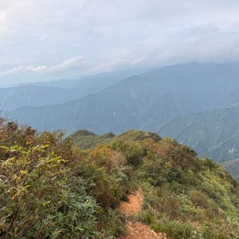 緑に見送られて下山✨
