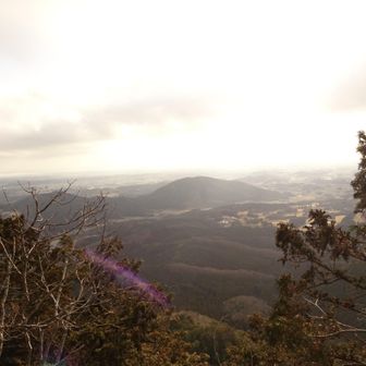 何故かモノトーンの写真に？