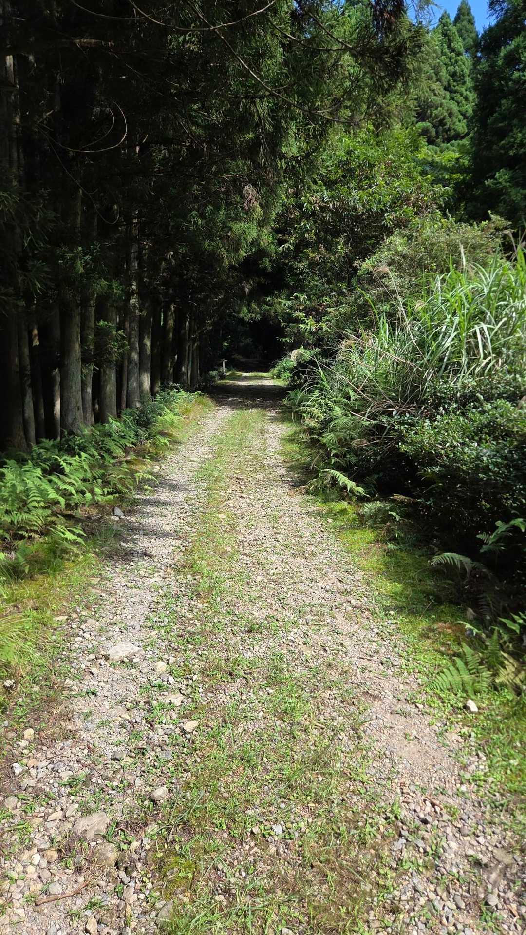 白髪岳登山口-白髪岳 往復コースの写真