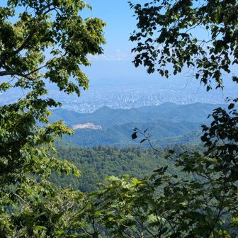 札幌市街地
高いビルが増えました
