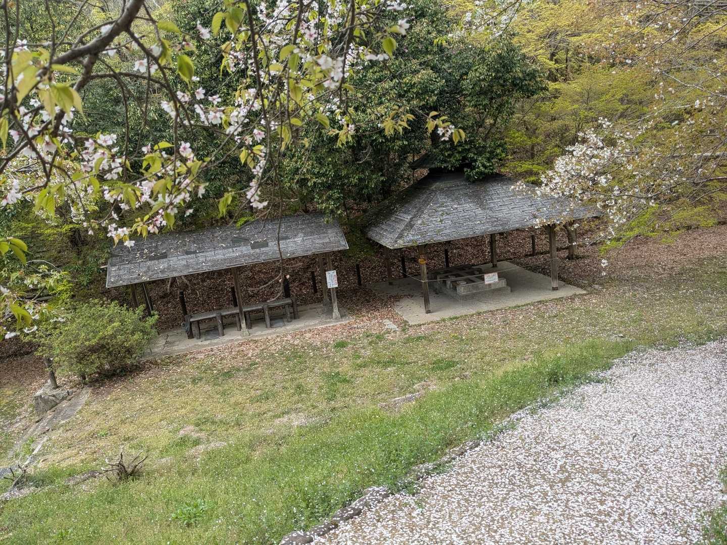 癒やされる新緑の季節が来ますね🌿🌿