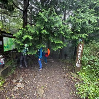 それでは山行をスタートします💪