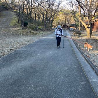 昭和の森から出発⛰️