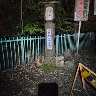 13時間超、集中力を切らさずズルッもグキッも無く歩き通せたのは大きい。