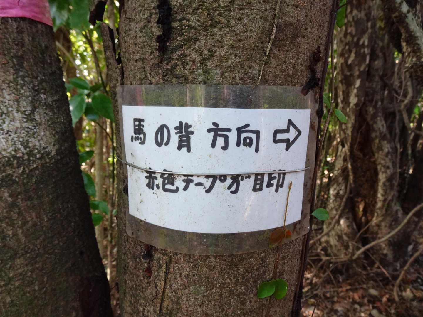 笛吹峠-源明峠-源明山-嘉納山-文珠山-文珠山登山口 縦走コースの写真
