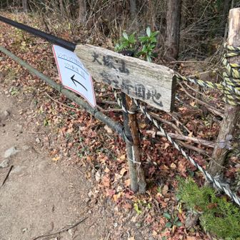 大塚山への見落としがちな古びた道標