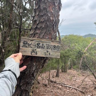 西山山頂に到着