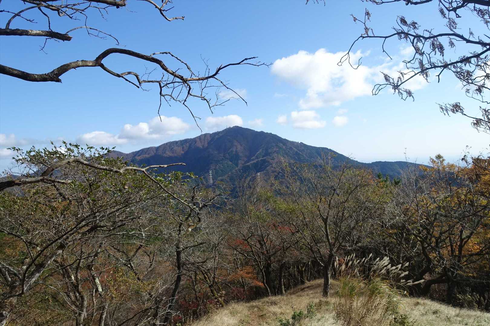ヤビツ峠-岳ノ台-菩提峠-三ノ塔 周回コースの写真