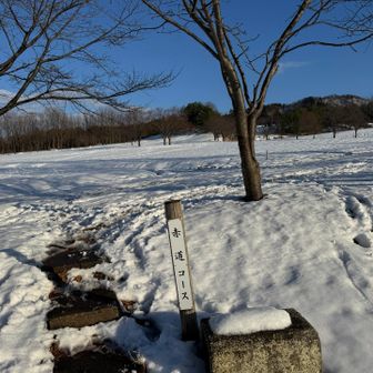 お疲れ様でした♪♪
良き山旅でした。
また来るね🩵💙🩷❤️