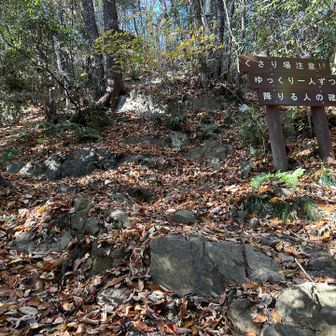 官ノ倉山の鎖場　カサカサの落ち葉が積もって滑りやすい　
