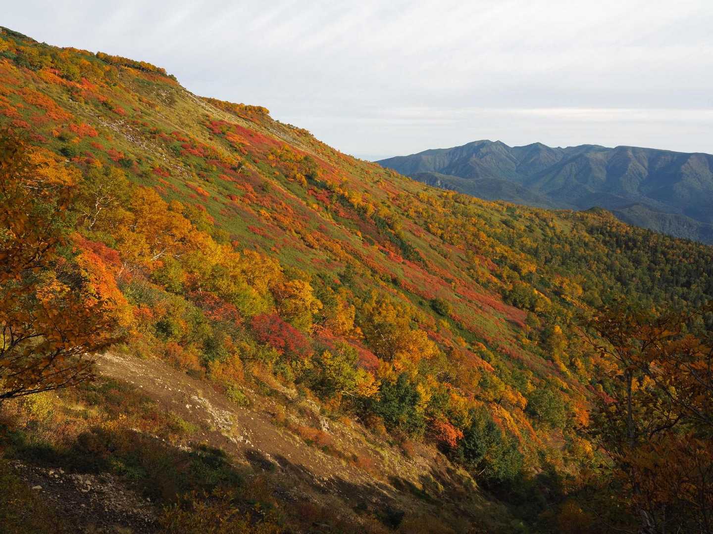 銀仙台の登山口からすぐ紅葉ドーン