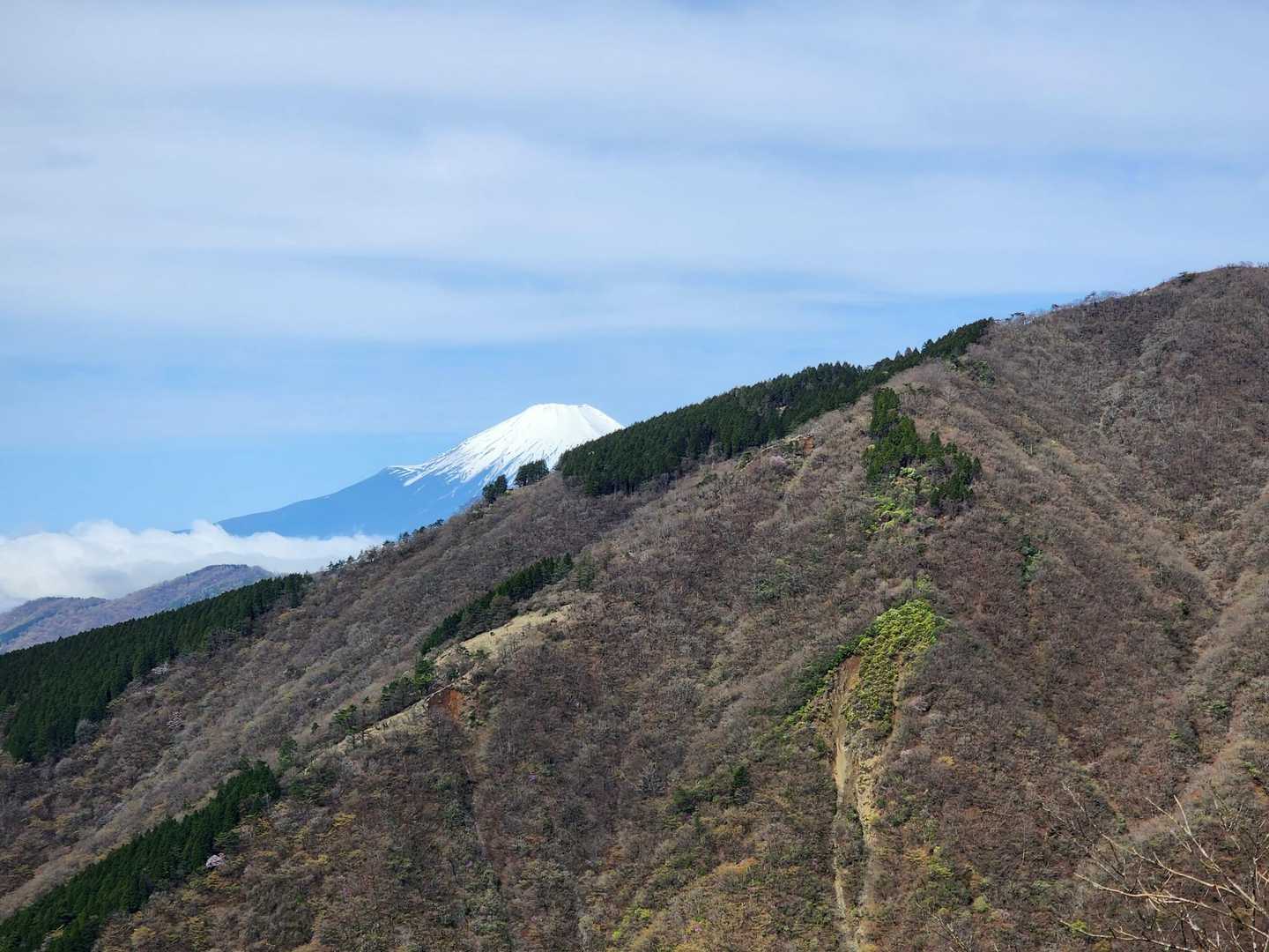 木ノ又大日-塔ノ岳 往復コースの写真