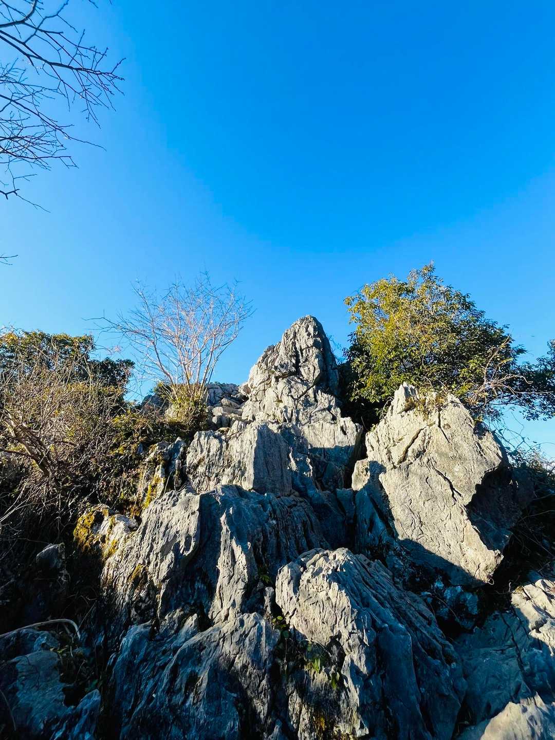 わー岩場楽しい