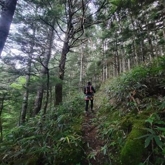 🥦ぱんちが先導してポールでクモの巣🕸️退治。ありがとー😊