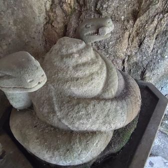 巳さんの神様なんやね
良い1年の山納めになりました
年末年始は昨年と同じ轍は踏まない
腰ヤられん程度に
ぼちぼち御仕事励みます
皆様も御身体御自愛し
素敵な年越しを御過ごし下さい
2025年もこうして元気で
終えれることに感謝し
ありがとうございました
また2026年に