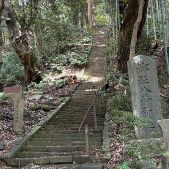 今日イチの登り⤴︎