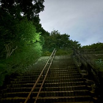 この左側の茂みにもイノシシいました。麓の方が多いんかい。油断できん。