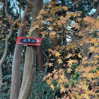 かわいい標識🍁