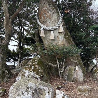 ストーンサークルのドンかな？