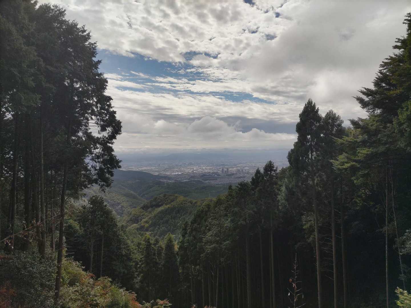 チラッと見える景色が良い✨