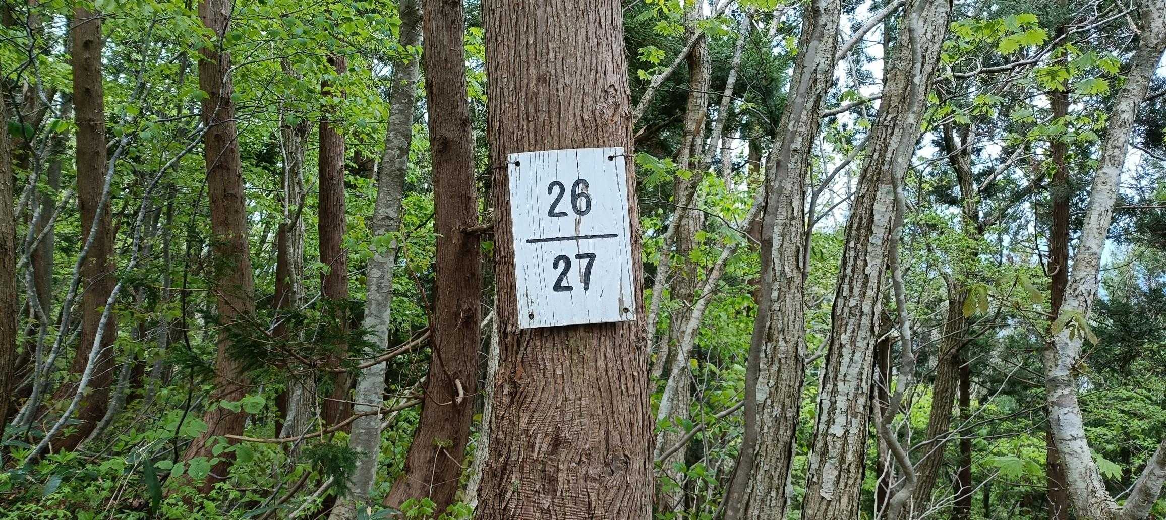 親切！でも何故27？