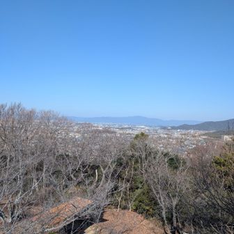 「岩屋緑地7周。」