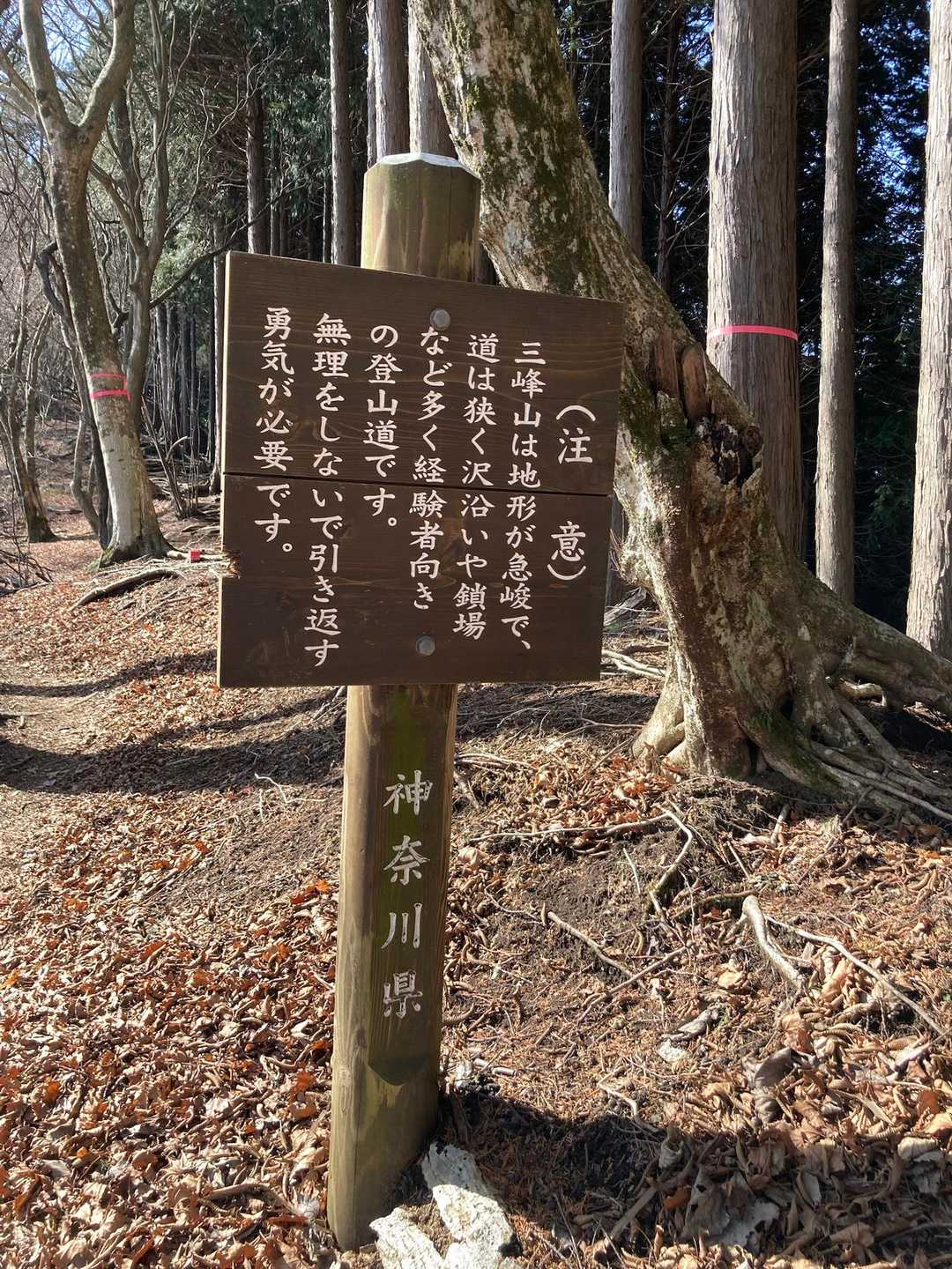 はい、わかりました、ヘルメット被ります