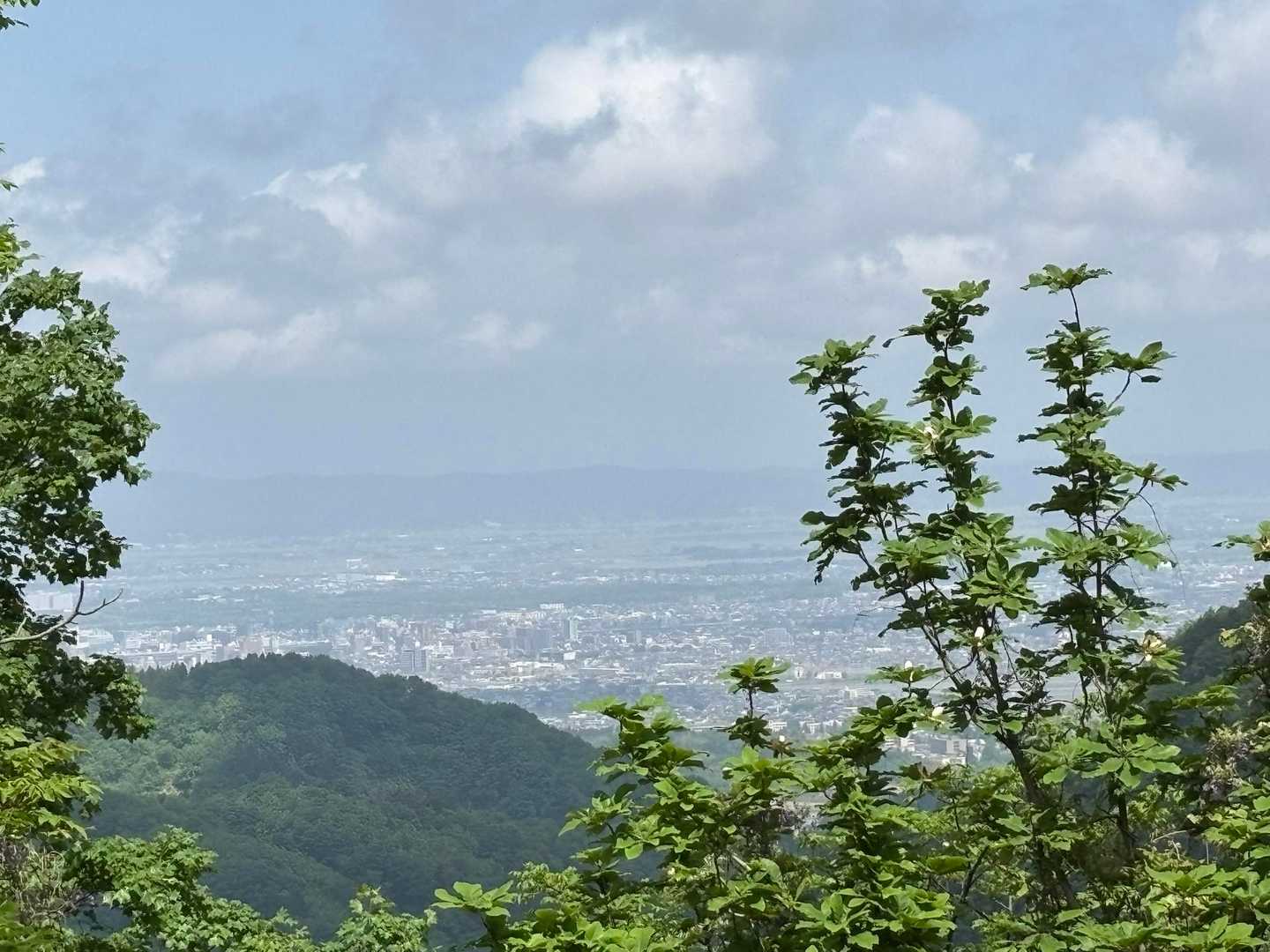 途中で振り向くとホウの花と長岡の町