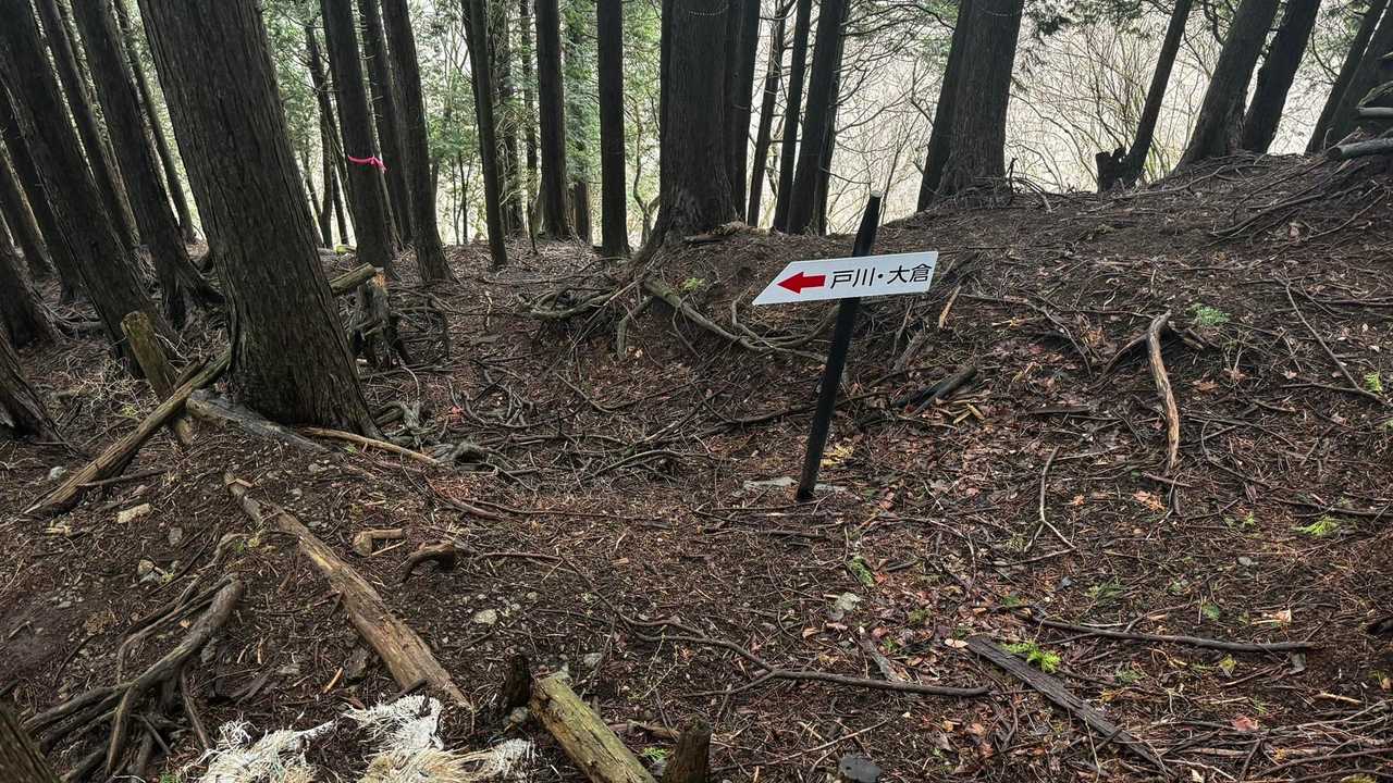 鍋割山・塔ノ岳・烏尾山縦走 の写真 47