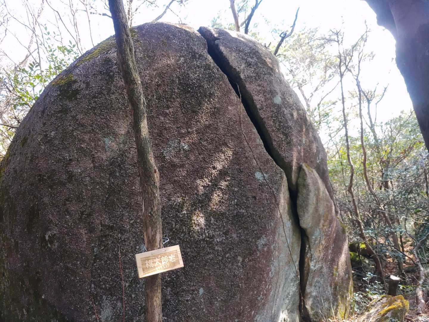ももだろう？岩