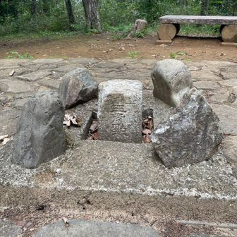 お伊勢山山頂。