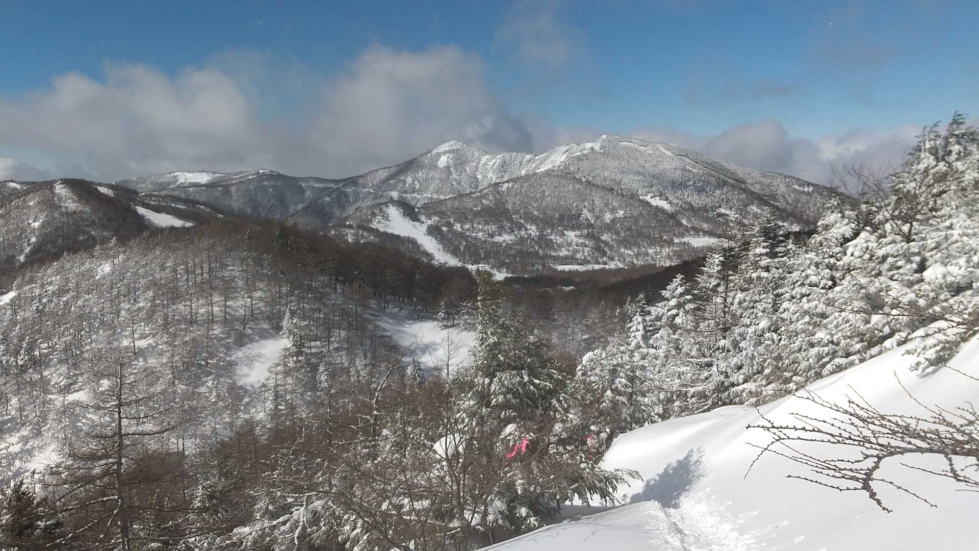 車坂峠-車坂山 往復コースの写真