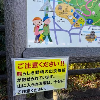 熊らしき動物🐻？！鹿でしょ🦌？
こんなとこにいたらホンマびっくりやけど、このご時世有り得ない話では全然ないよね😆