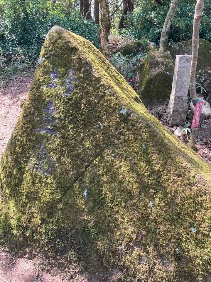 坊主山の写真