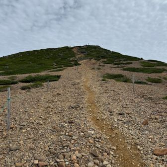 根石山荘手前でザックをデポして根石岳へ