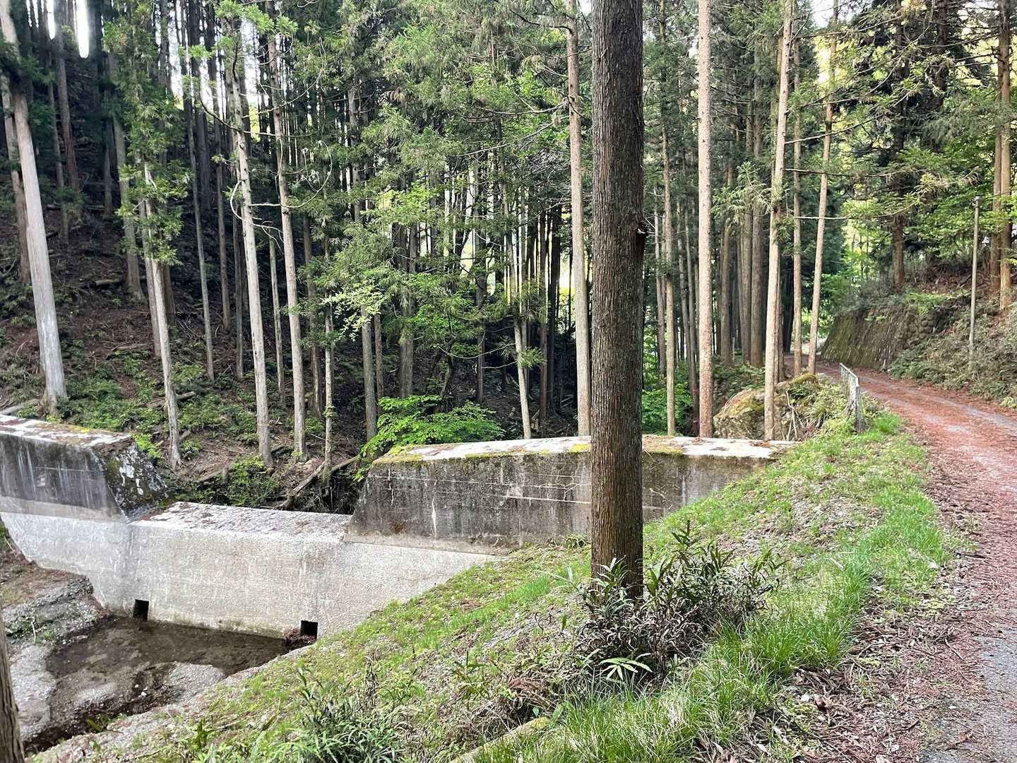 あとは林道歩き1kmくらいでゴール🅿️
↖︎🐻に見えた砂防堰堤