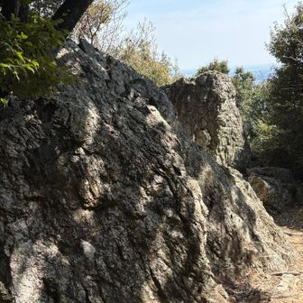 出発前に振り返って岩を撮る
無名大岩と思っていたら『仏岩』でした
次の「仏岩」という名の分岐に､岩🪨は無かった。